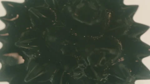 Ferrofluid Fluid Stock Footage 319917250