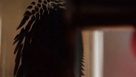 Ferrofluid Stock Footage 72012081