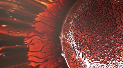 Ferrofluid Macro 3 Stock Footage 65294303