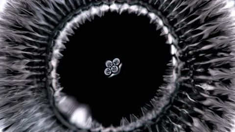 Ferrofluid or ferromagnetic fluid under the influence of sound waves (cymatics Stock Footage 119060128