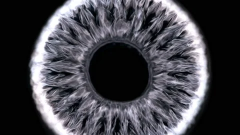 Ferrofluid or ferromagnetic fluid under the influence of sound waves (cymatics Stock Footage 119062566