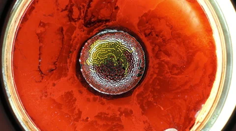 Ferrofluid Wide Video stock 65292947