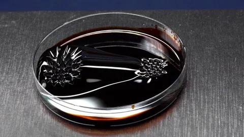 Ferromagnetic liquid. Experiments with a magnetic field Stock Footage 104182226