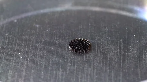 Ferromagnetic liquid. Experiments with a magnetic field Stock Footage 104182367