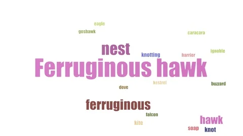 Ferruginous Hawk Tagcloud Animated Isolated On White Stock Footage 103669455