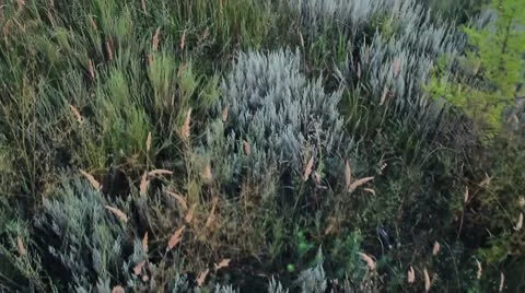 Ferry 01.mp4 Video stock 8983074