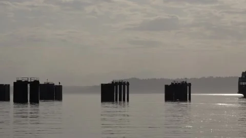 Ferry approaching dock against a misty morning seascape Stock Footage 313635446