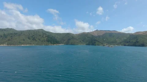 Ferry in between the two islands of New Zealand arriving at the coast. Stock Footage 201378007
