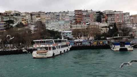 Ferry on the Bosphorus with flock of gulls, Turkey, Istanbul, 2015 Video stock 88252807