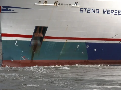 Ferry Bow &amp; Birds Stock Footage 79734002