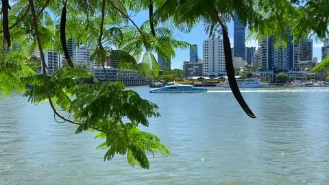 A ferry on the Brisbane river in Australia Stock Footage 165708053