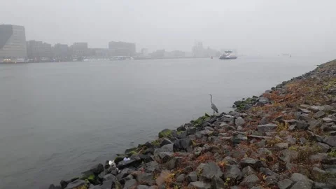 Ferry crossing the river IJ in Amsterdam Stock Footage 236014651