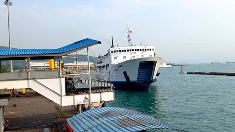 The ferry docks at the pier Stock Footage 212486682