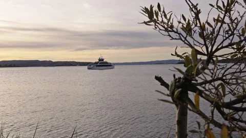 Ferry on the ocean during sunset with a small tree defocused in the foreground Stock Footage 293071934