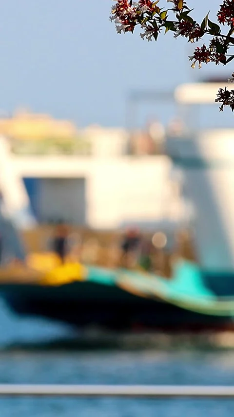 Ferry Returning to Hiroshima Port and Abelia Flowers on the Seto Inland Sea 库存影片 340757522