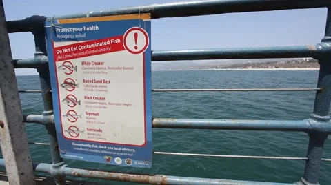 Ferry Ride Video stock 44263912