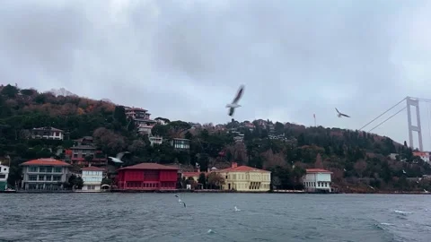 The ferry sails along the Bosphorus. Ferry ride on the Bosphorus. Beautiful view Stock Footage 231898199