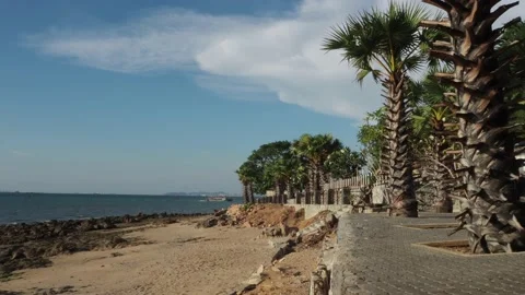 The ferry sails to the pier Stock Footage 172444445