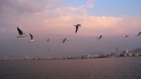 Ferry sky sunset view Stock Footage 63278845
