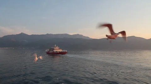 Ferry at sunset, gulls flying around Video stock 30641938