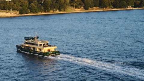 Ferry on Sydney harbour Stock Footage 111603173