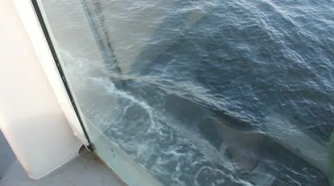 Ferry Waves Vídeo Stock 11331374