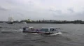 Ferryboats and tallship on boat trip round the Hamburg harbour HD Footage