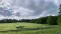 Fertile corn field hill with tracks and buildings and clouds sky stock footage 4k or 4k+ Resolution