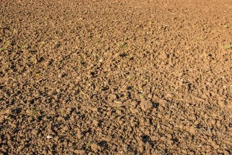 Fertile fields and green and brown soil Stock Photos