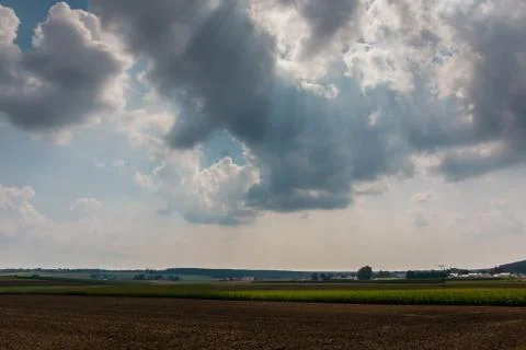Fertile fields and green and brown soil Stock Photos