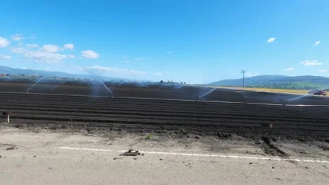 Fertile Fields: A Landscape of Freshly Planted Crops Stock Footage 236742352