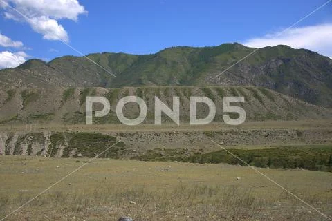 Fertile pasture at the foot of the fertile hills. Altai, Siberia, Russia Land Stock Photos