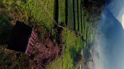Fertile patchwork agricultural crops in valley drone fly through, with Stock Footage 267836092