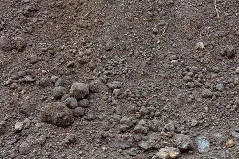 Fertile rough soil background and texture, top view. Stock Photos