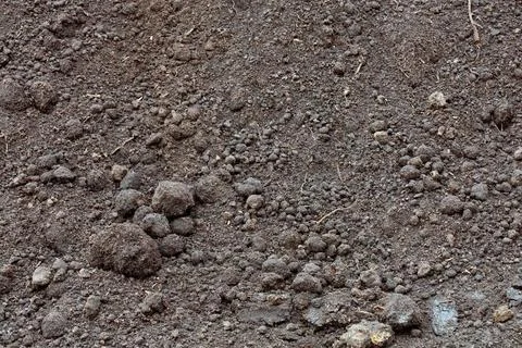 Fertile rough soil background and texture, top view. Stock Photos