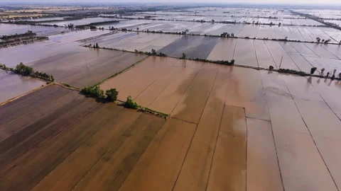 Fertile Rural Fields Flooded In Preparation For Cultivation Vidéo 340453707