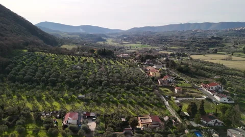 Fertile soil fields at the foot of mountain hills for olive tree cultivation and Stock Footage 318652486
