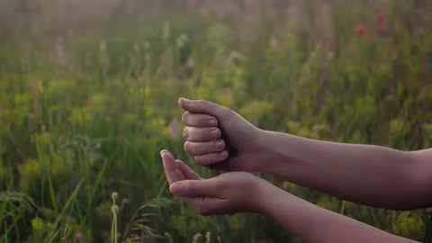 Fertile soil Stockbeeldmateriaal 232849667