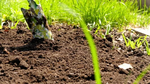 Fertile soil in the garden Stock Footage 161173205