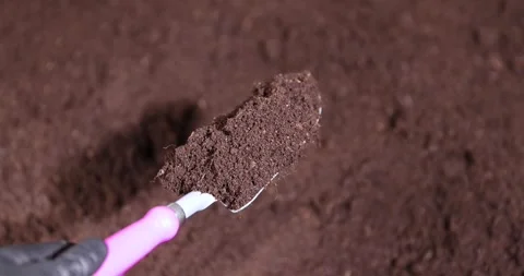 Fertile soil mixed with peat and humus for growing seedlings and various plants, 库存影片 325273501