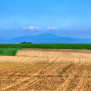 Fertile soil Stock Photos