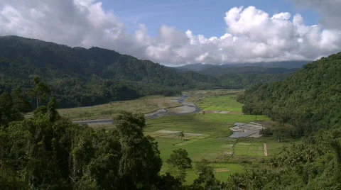 Fertile valley with fields of crops surrounded by jungle 스톡 동영상 609583