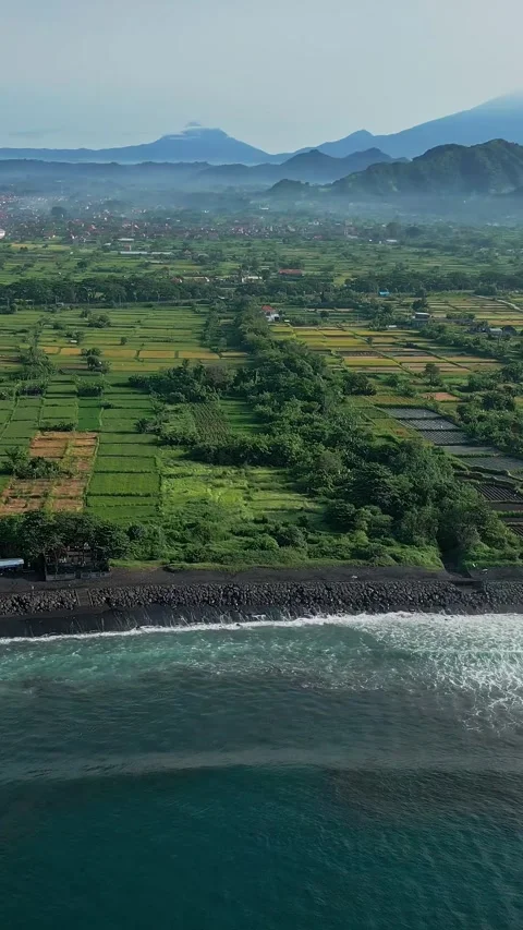 Fertile volcanic lands. Drone captures lush terraces and volcanic shoreline Видео 334249391