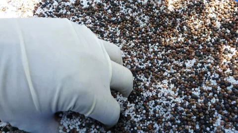 Fertiliser is any material of natural or synthetic origin Stock Footage 131813091
