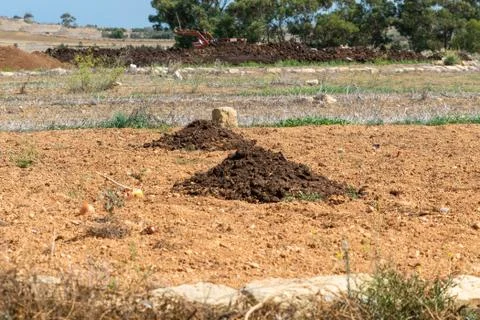 Fertiliser in a field Stock Photos