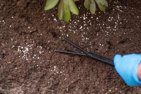 Fertilising plants in Spring Stock Photos