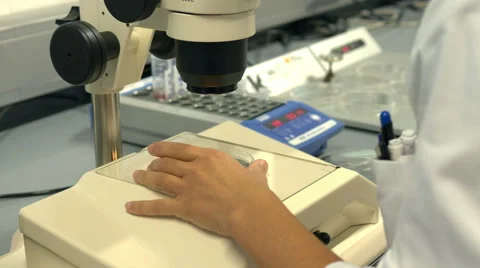 A fertility doctor uses a microscope and syringes to examine female eggs Stock Footage 42356469