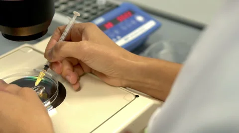 A fertility doctor is using a microscope and syringes to examine female eggs Stock Footage 42241938
