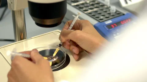A fertility doctor is using a microscope and syringes to examine female eggs Stock Footage 42343330