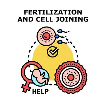 Fertilization and cell joining concept for reproductive assistance Stock Illustration